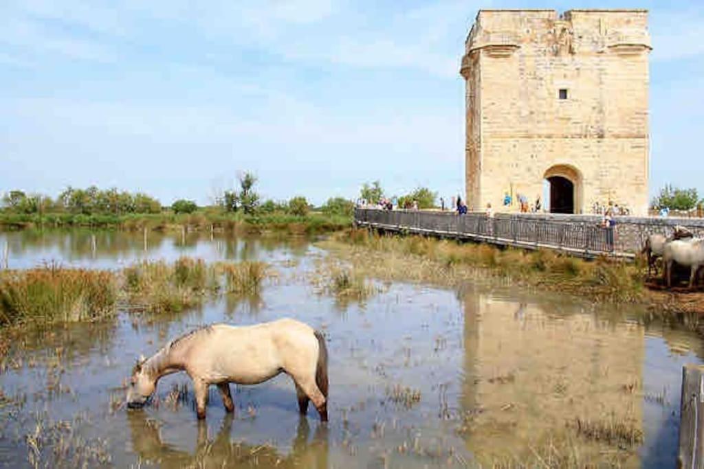 Maison Chaleureuse A 5 Mins Des Remparts 艾格-莫尔特 外观 照片